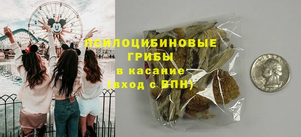 винт Абаза