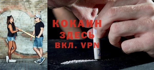 винт Абаза