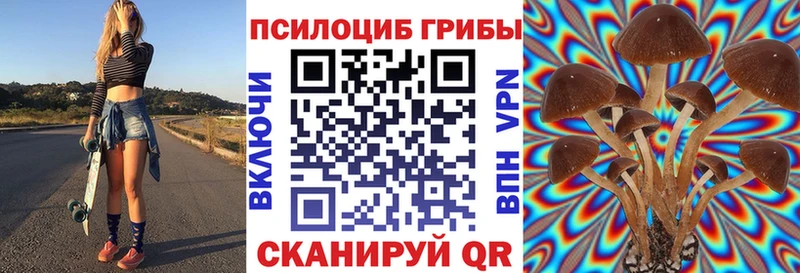 Псилоцибиновые грибы Psilocybine cubensis  Инза 